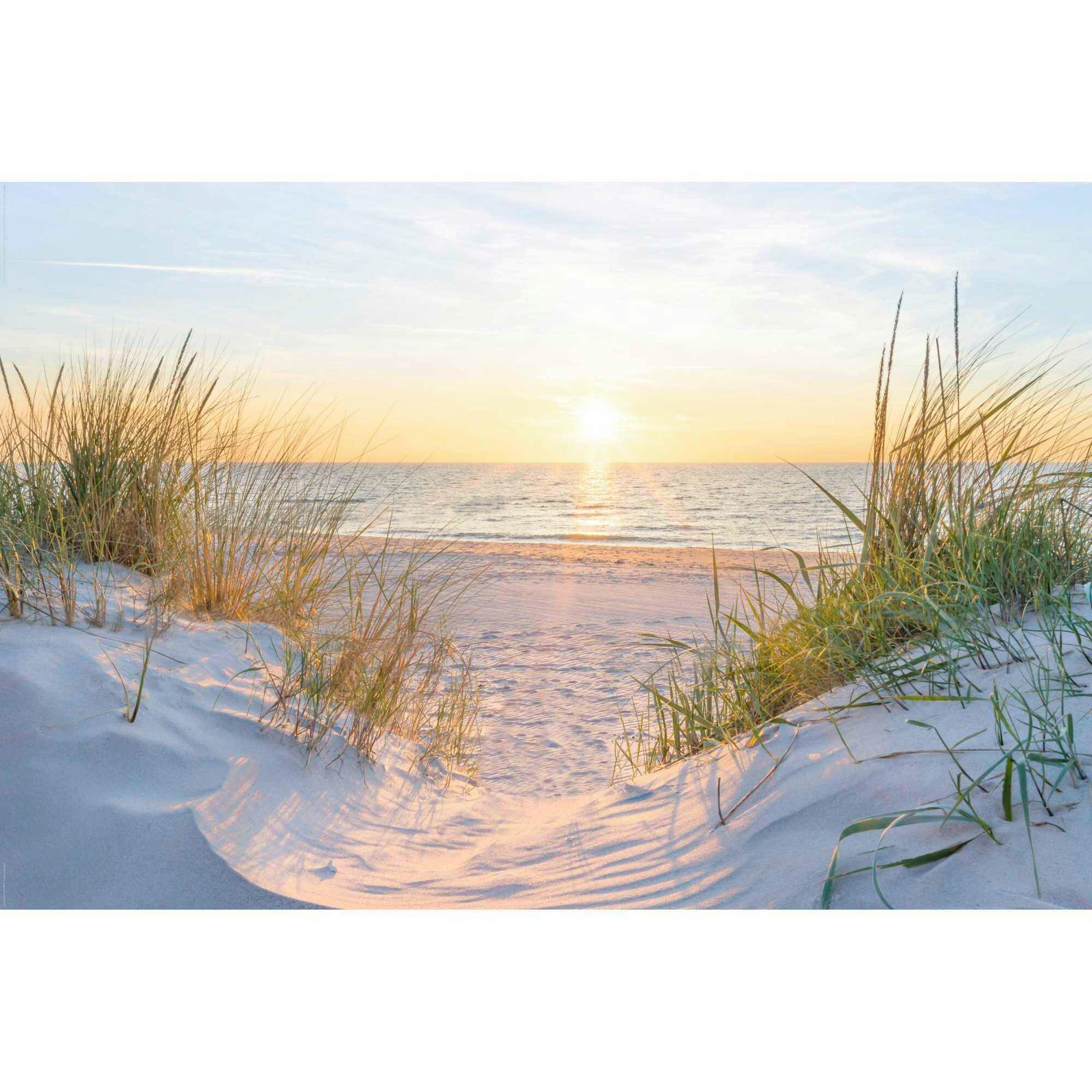 POSTER 61/91,5 cm  - Multicolor, Natur, Papier (61/91,5cm) - Reinders!