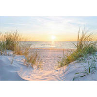 POSTER 61/91,5 cm  - Multicolor, Natur, Papier (61/91,5cm) - Reinders!