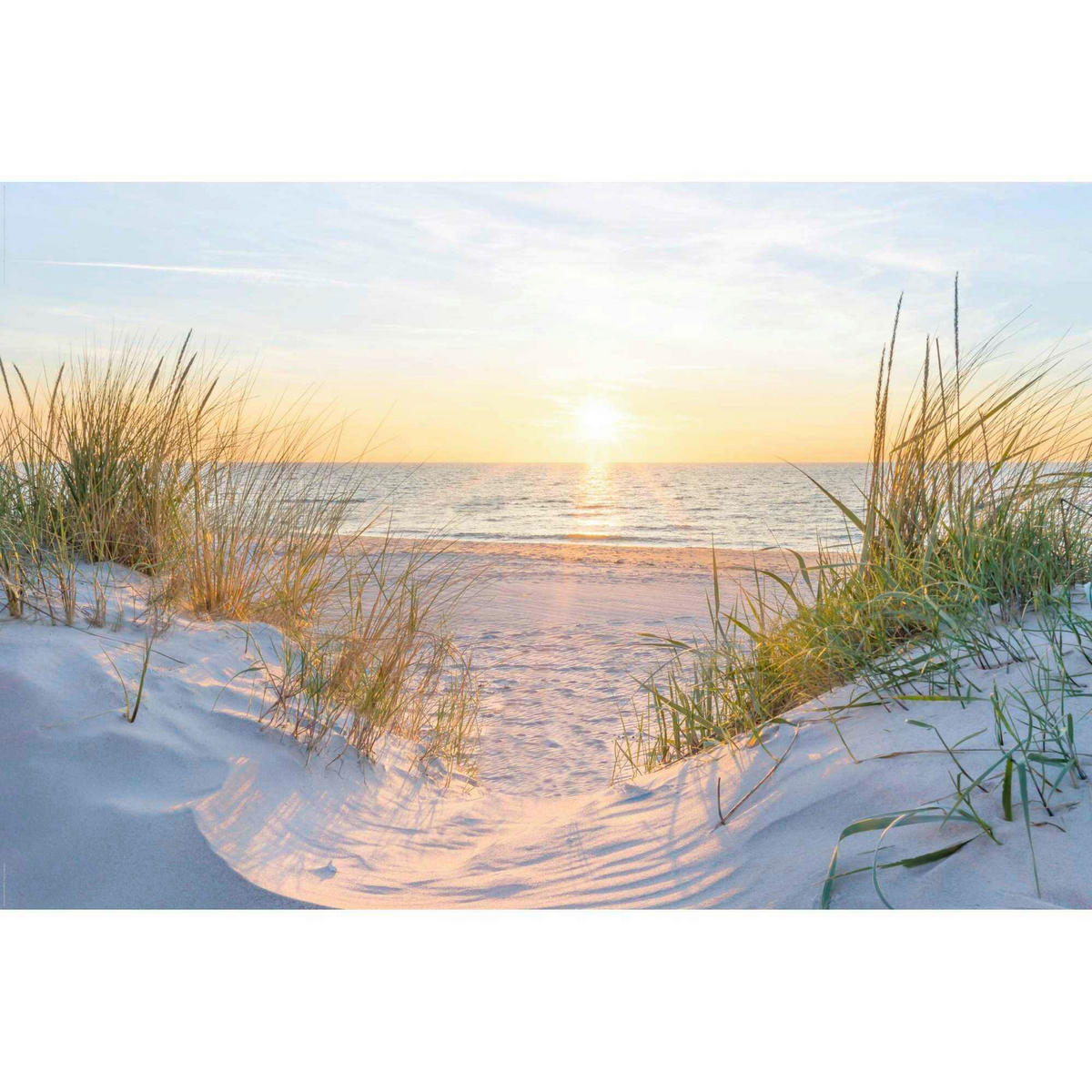 POSTER 61/91,5 cm  - Multicolor, Natur, Papier (61/91,5cm) - Reinders!