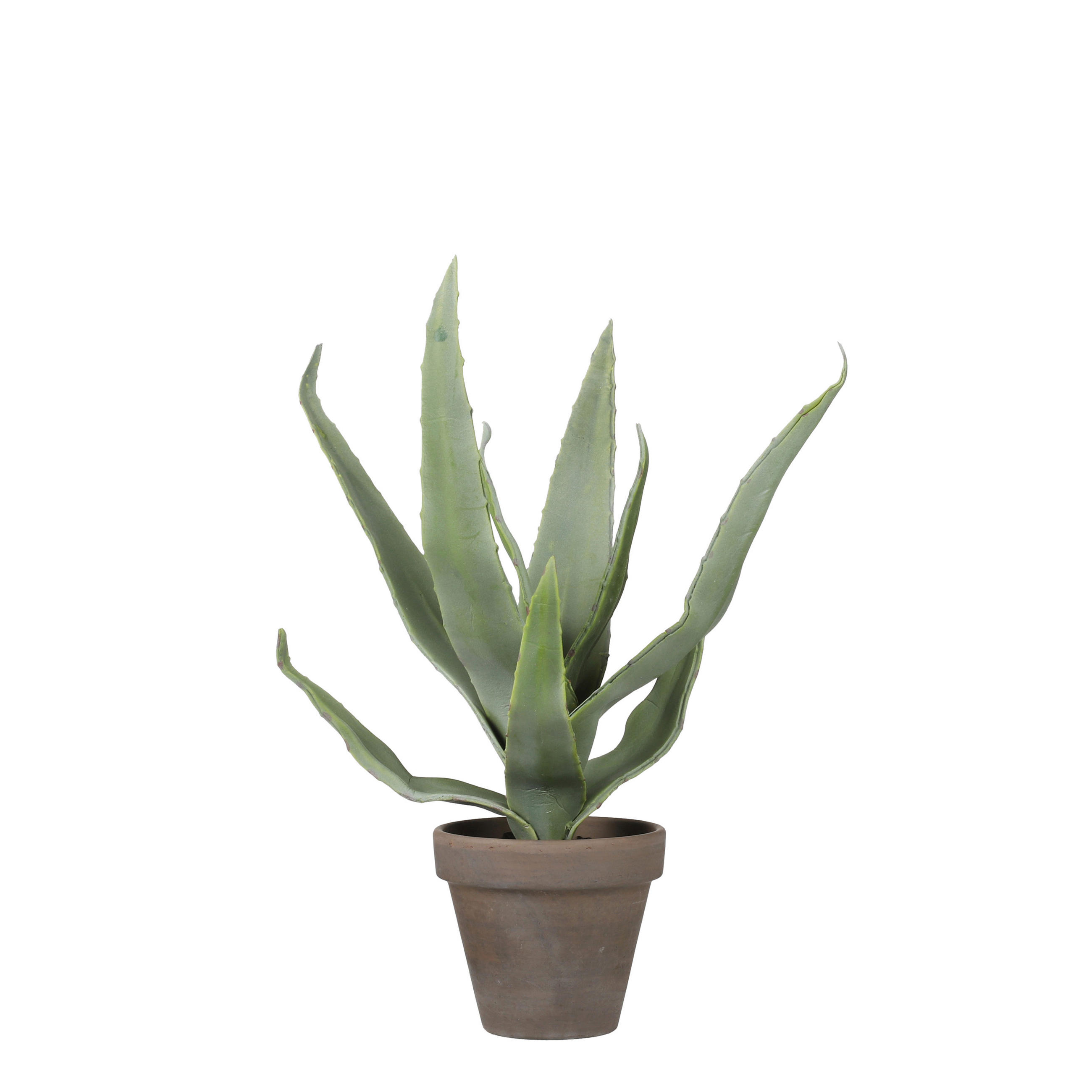 KONSTVÄXT  - grön/grå, Basics, plast (16/30cm)
