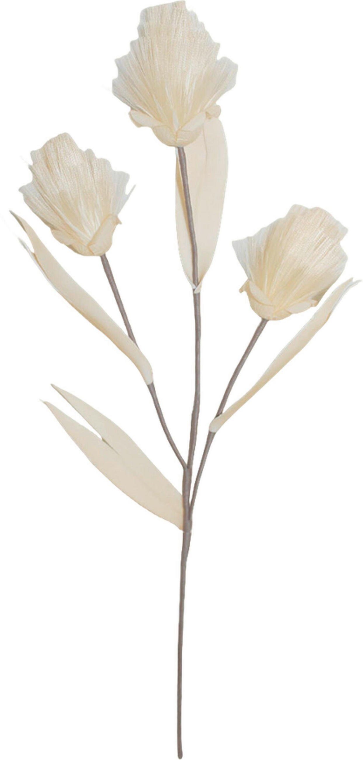 UMELÝ KVET 68 cm - krémová, Basics, kov/plast (68cm) - Ambia Home