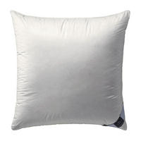 JASTUK  60/80 cm       - bela, Konvencionalno, tekstil/prirodni materijali (60/80cm) - Billerbeck