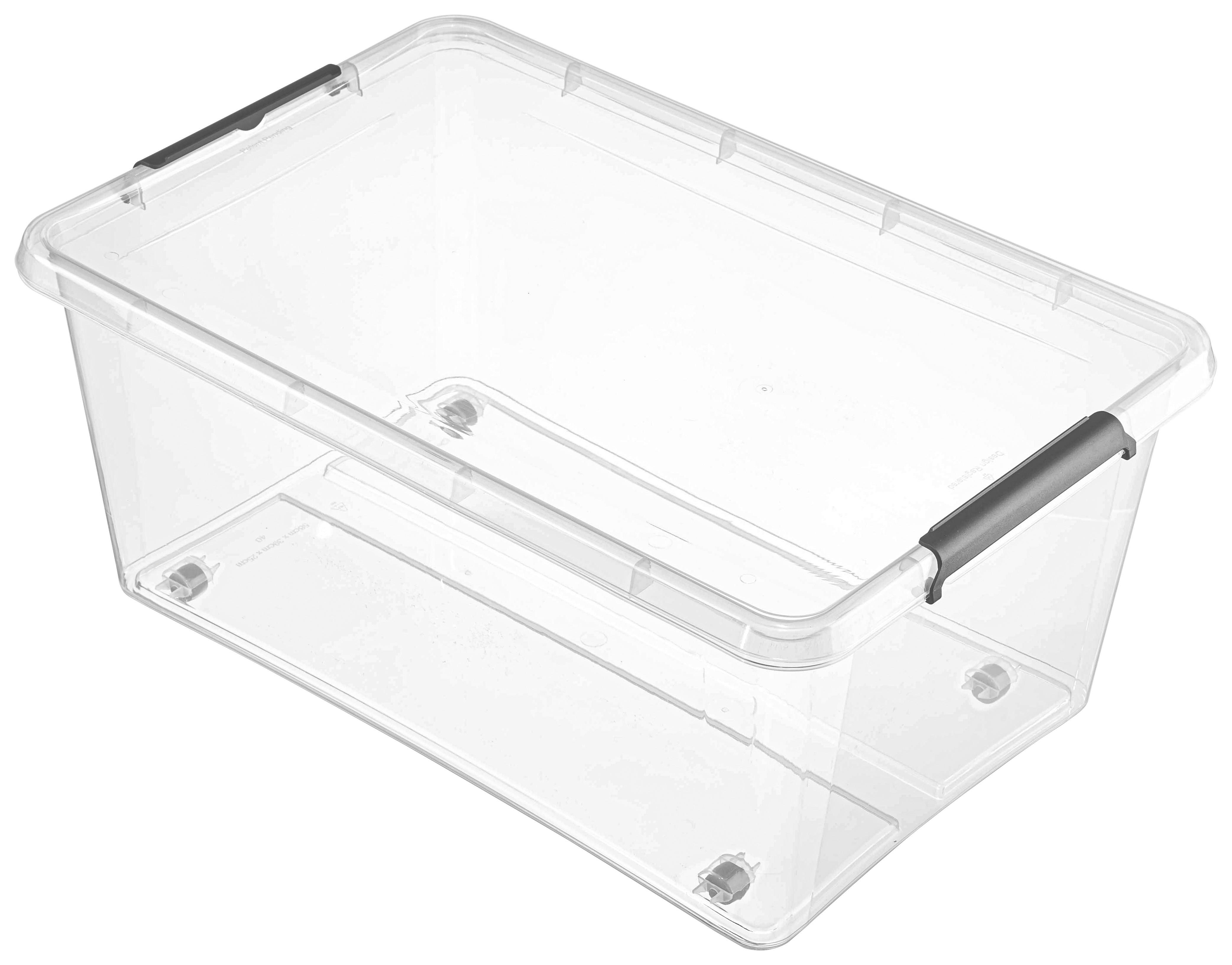 BOX MIT DECKEL  - Transparent, Basics, Kunststoff (58/39/25cm) - Boxxx