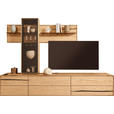 WOHNWAND 3-teilig  in Schwarz, Eichefarben  280/195/50 cm  LED-COB-Leuchtmittel, Dekoleuchtmittel   - Eichefarben/Schwarz, Natur, Glas/Holz (280/195/50cm) - Waldwelt