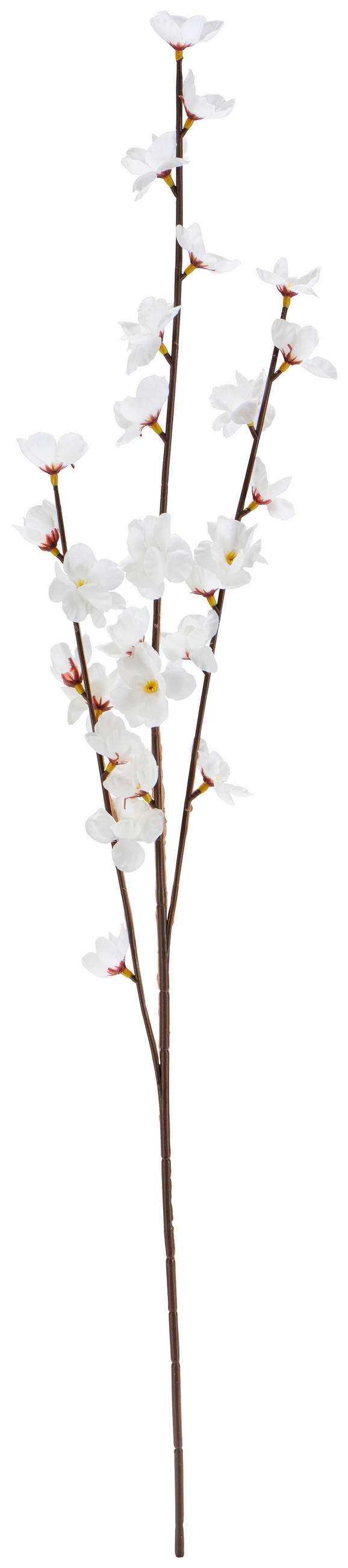 DEKOZWEIG - Creme/Braun, LIFESTYLE, Kunststoff/Textil (79cm)