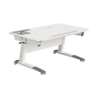 IFJÚSÁGI ÍRÓASZTAL  - ezüst/fehér, Basics, faalapú anyag/fém (120/75,3/54-76cm) - Paidi