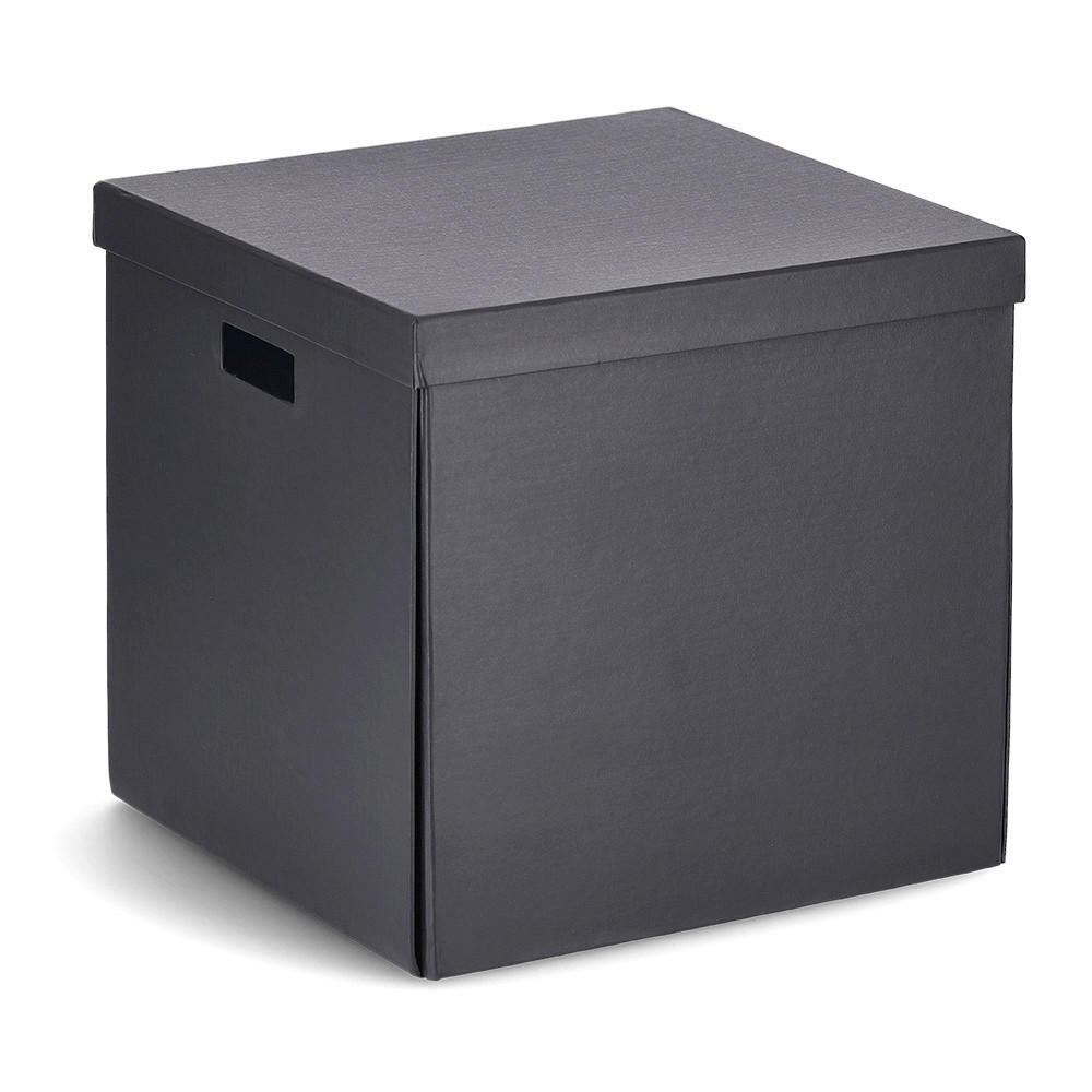 AUFBEWAHRUNGSBOX     - Basics, Karton (33,5/33/32cm)