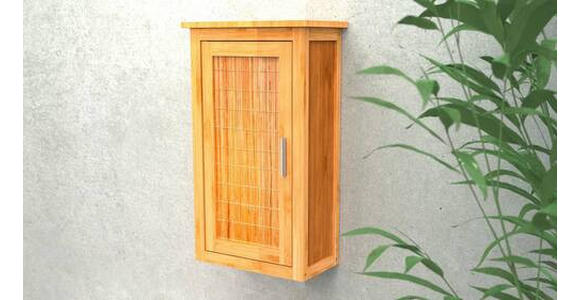 HÄNGESCHRANK 40,0/70,0/20,0 cm - Silberfarben, Natur, Holz/Metall (40,0/70,0/20,0cm) - Carryhome