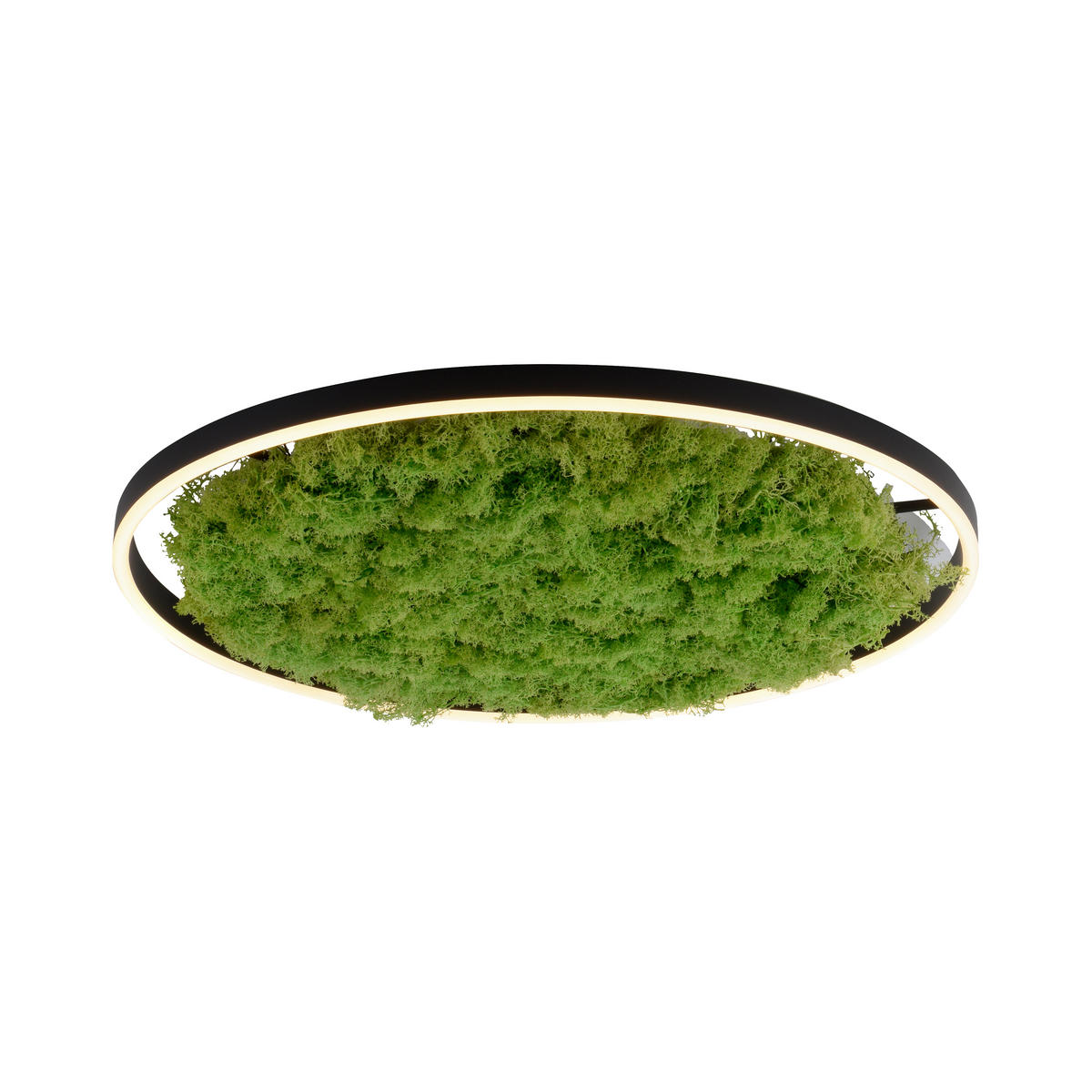 WANDLEUCHTE Ritus 58,5/58,5/5,3 cm   - Natur, Naturmaterialien/Kunststoff (58,5/58,5/5,3cm)