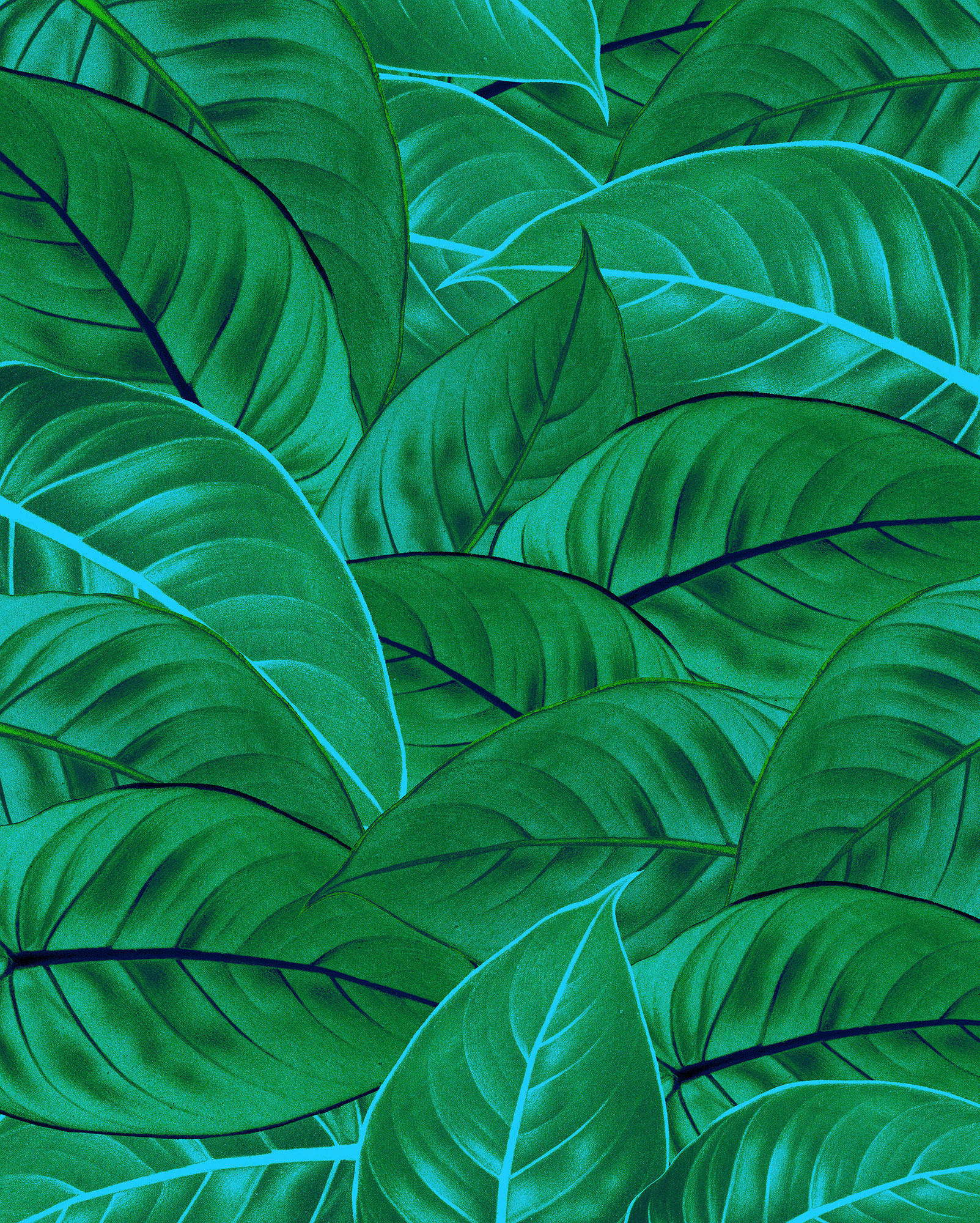 NON WOVEN-TAPET 200/250 cm  - grön, Basics (200/250cm) - Komar