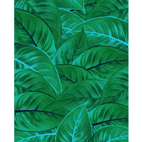 NON WOVEN-TAPET 200/250 cm  - grön, Basics (200/250cm) - Komar