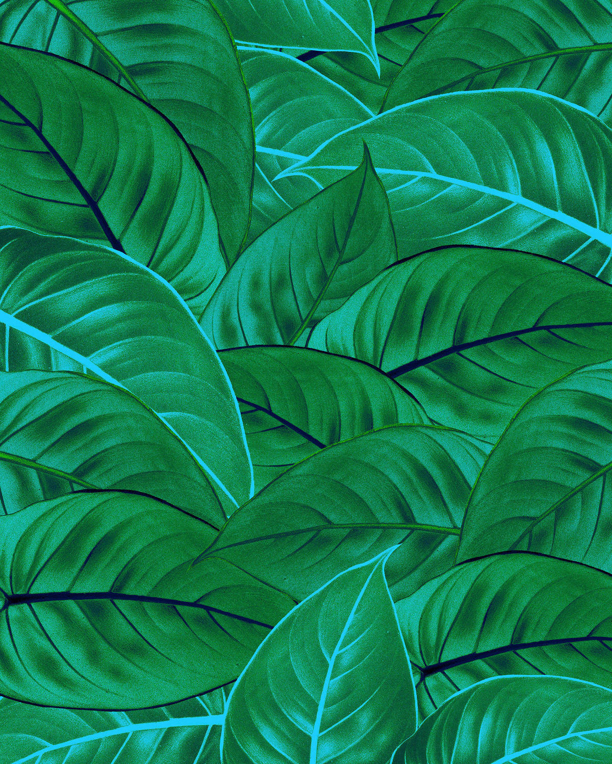 NON WOVEN-TAPET 200/250 cm  - grön, Basics (200/250cm) - Komar