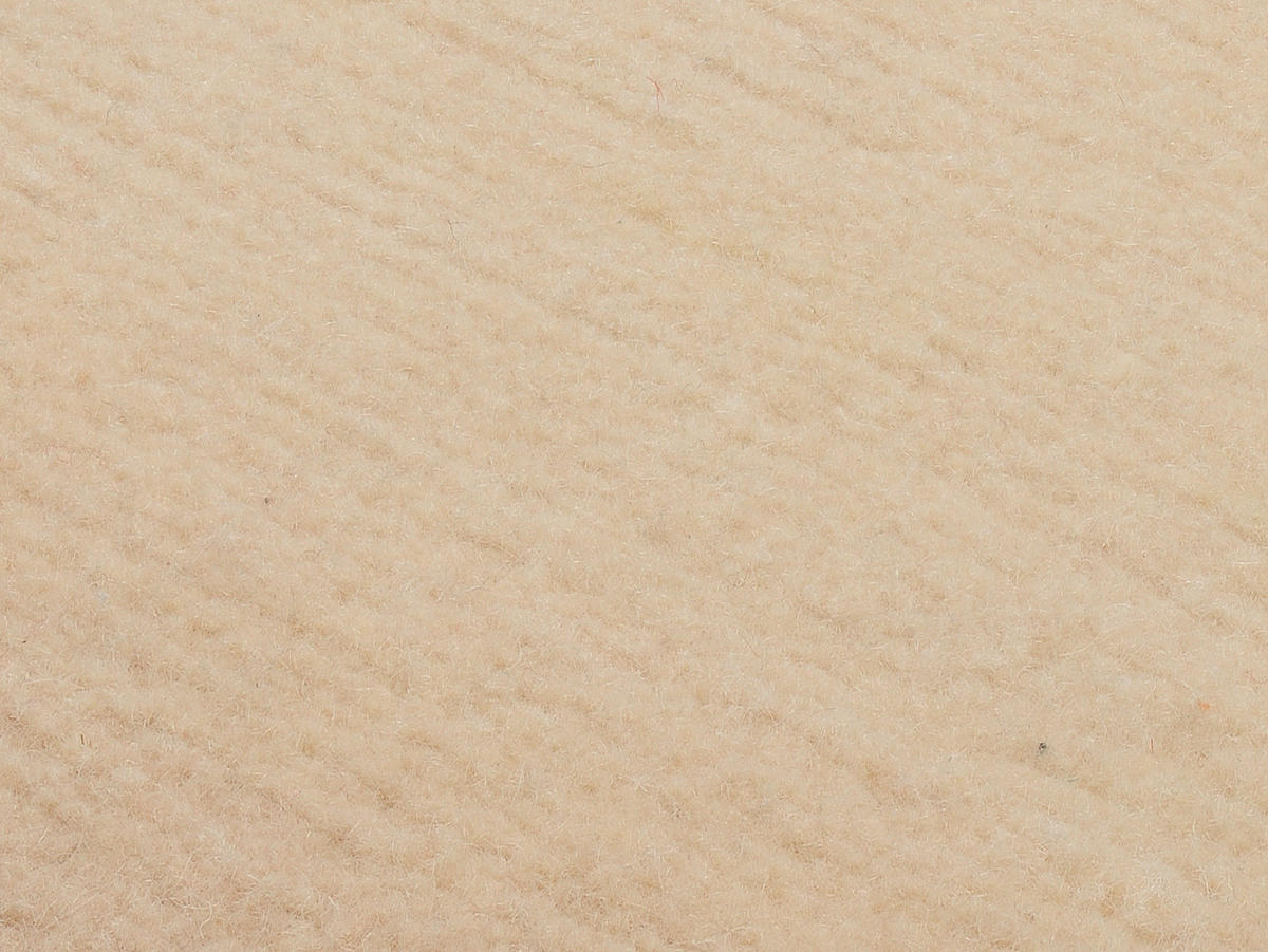 WOLLTEPPICH 250/300 cm Beige  - Beige, Basics, Textil (250/300cm) - Cazaris
