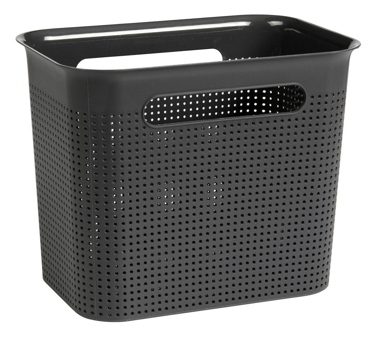 BOX    36/26,2/21,1 cm  - Braun, Basics, Kunststoff (36/26,2/21,1cm) - Rotho