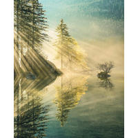 VLIESTAPETE  - Natur (200/250cm) - Komar