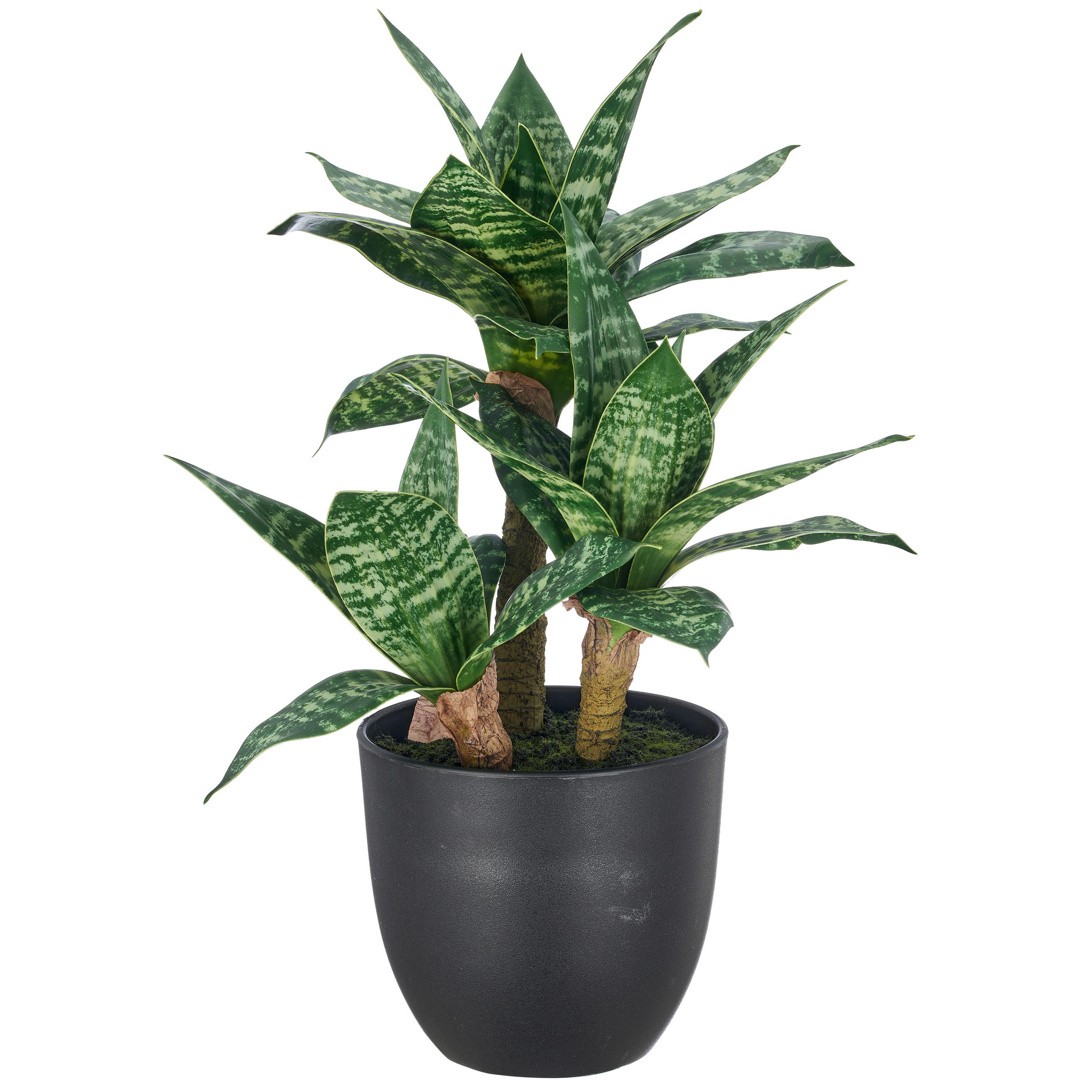 KUNSTPFLANZE Bogenhanf 40 cm  - Schwarz/Braun, Basics, Kunststoff (40cm)
