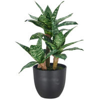 KUNSTPFLANZE Bogenhanf 40 cm  - Schwarz/Braun, Basics, Kunststoff (40cm)