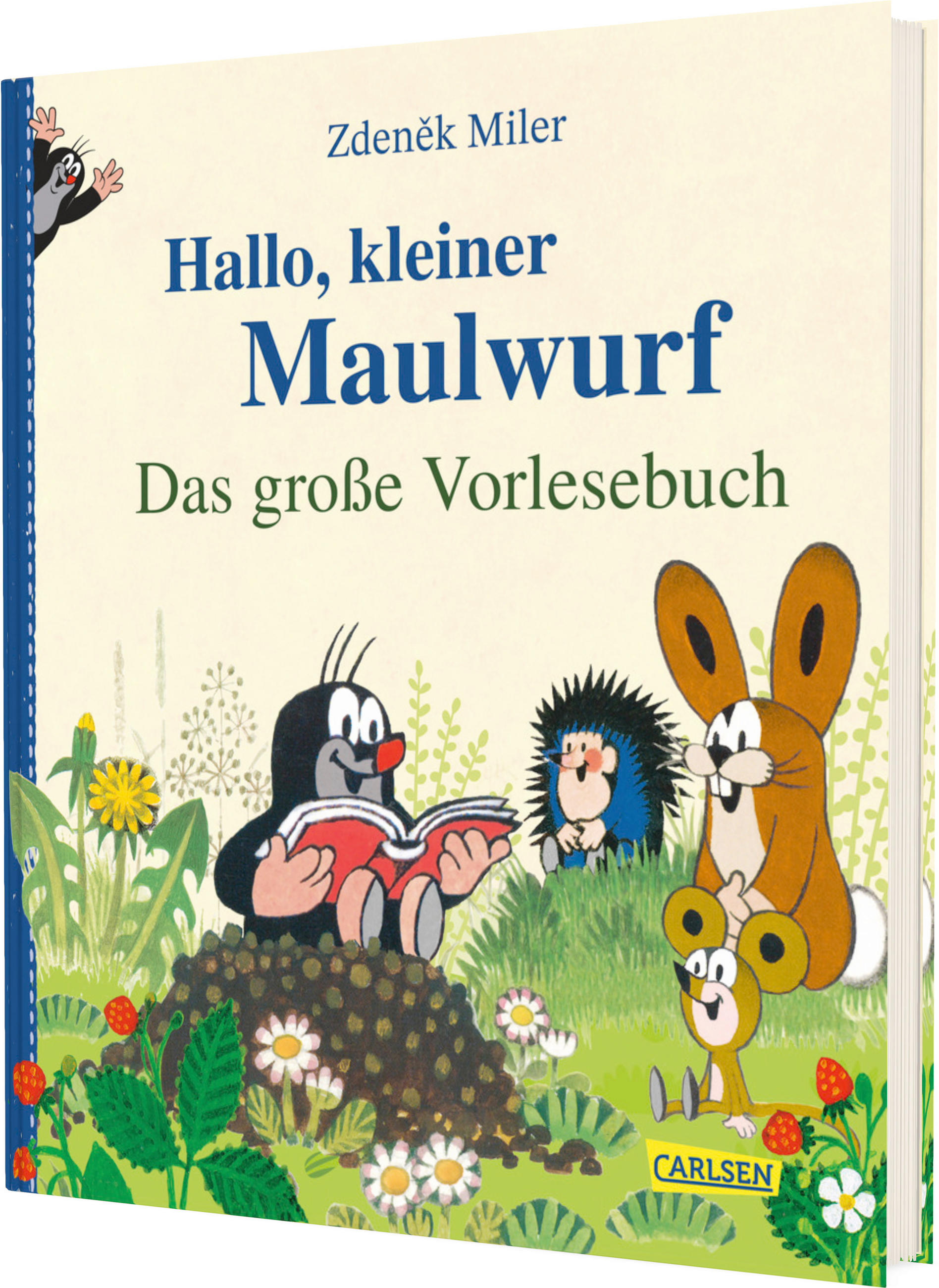 BUCH - Multicolor, Basics, Papier (23/20/1,8cm) - Carlsen