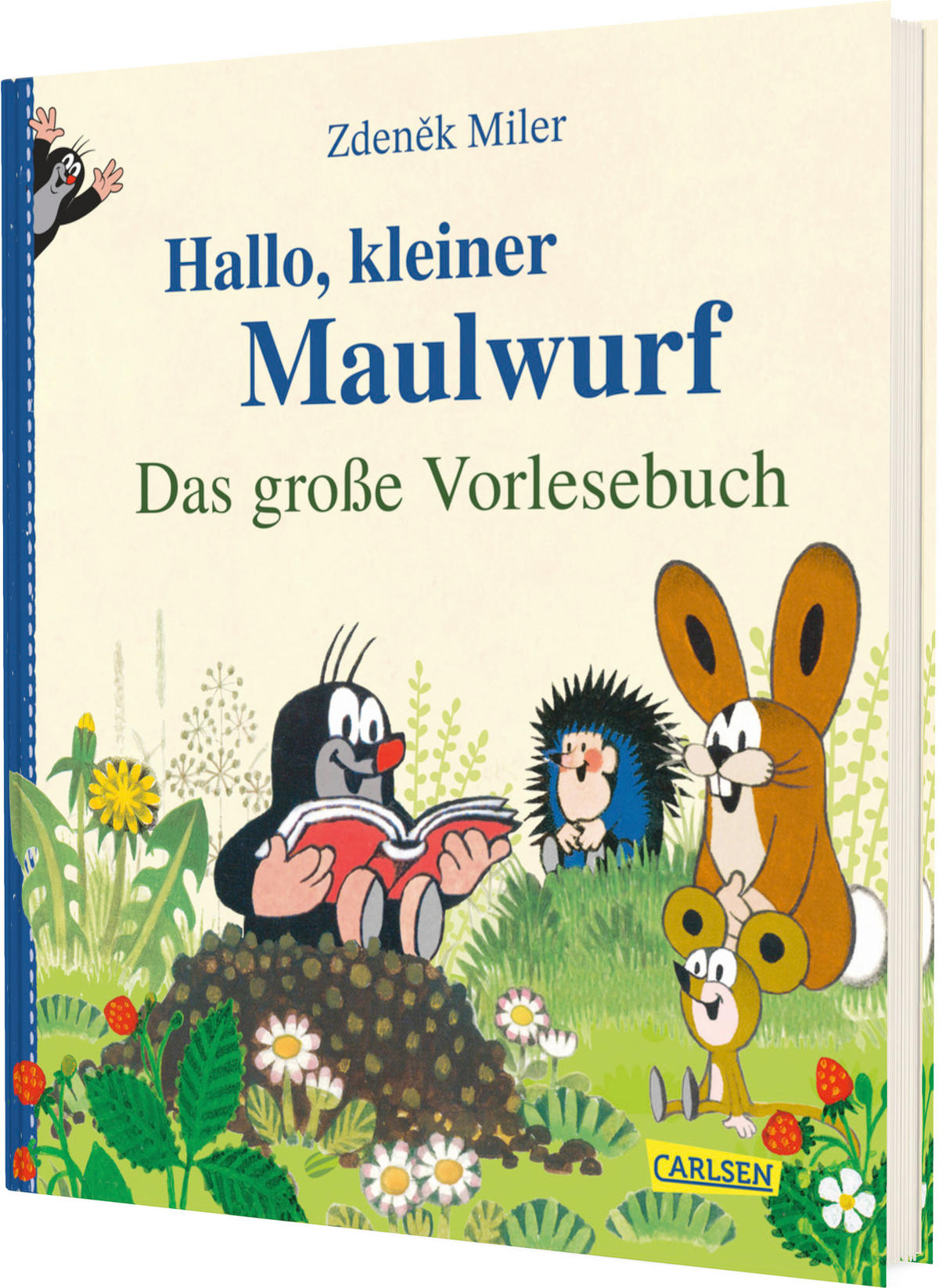 BUCH - Multicolor, Basics, Papier (23/20/1,8cm) - Carlsen