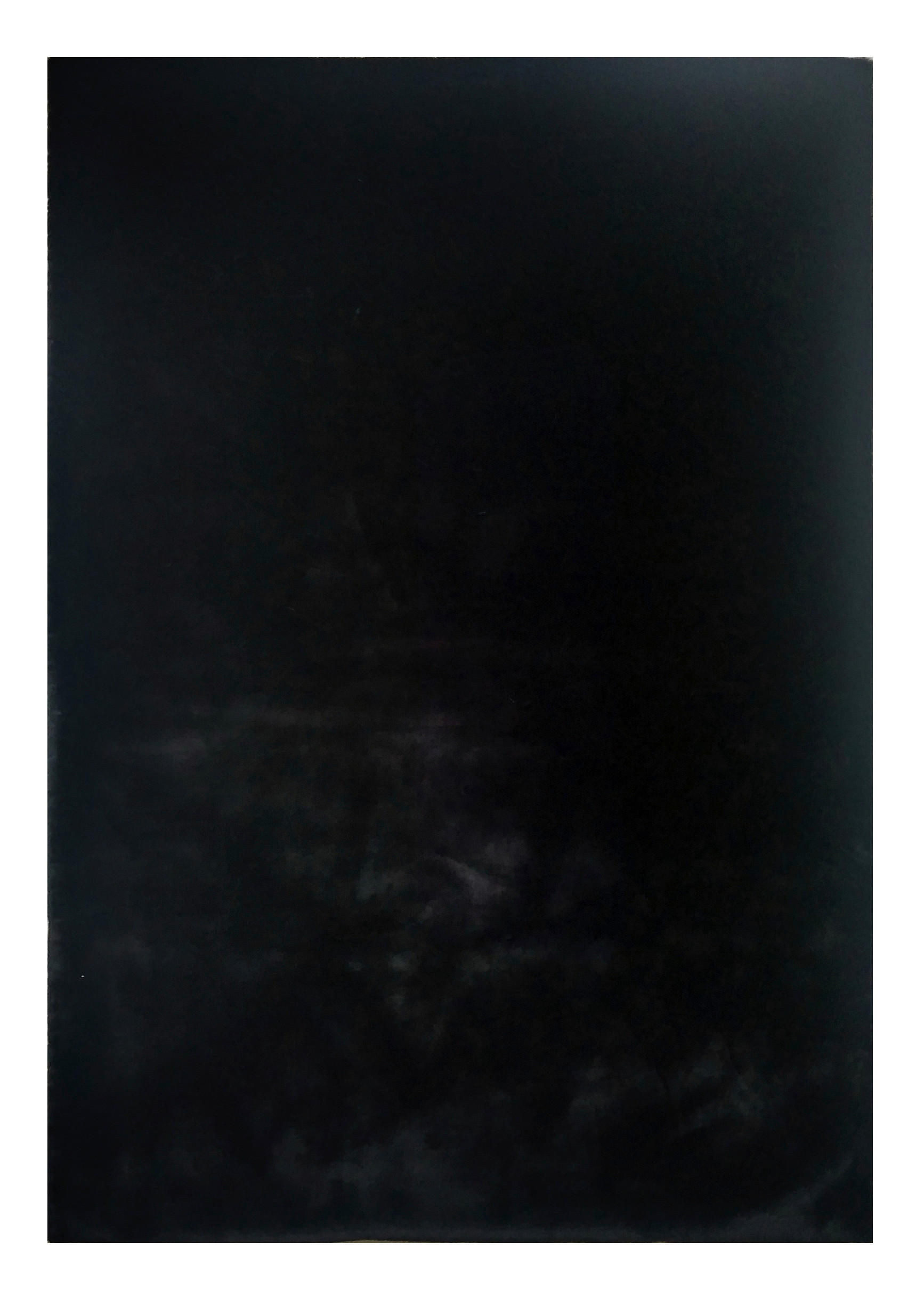 TEPIH VISOKOG FLORA  crna     - crna, Trend, tekstil (130/190cm) - Novel