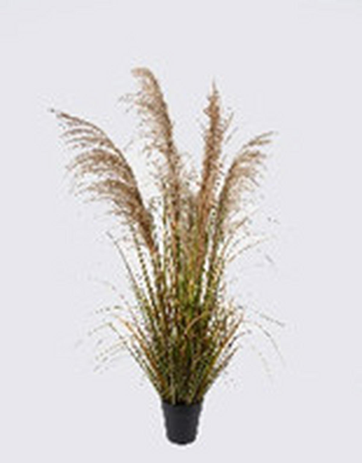 MŰNÖVÉNY - fekete/világosbarna, Basics, műanyag