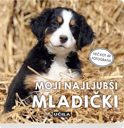 OTROŠKA KNJIGICA - večbarvno, Basics, karton