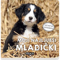 OTROŠKA KNJIGICA - večbarvno, Basics, karton