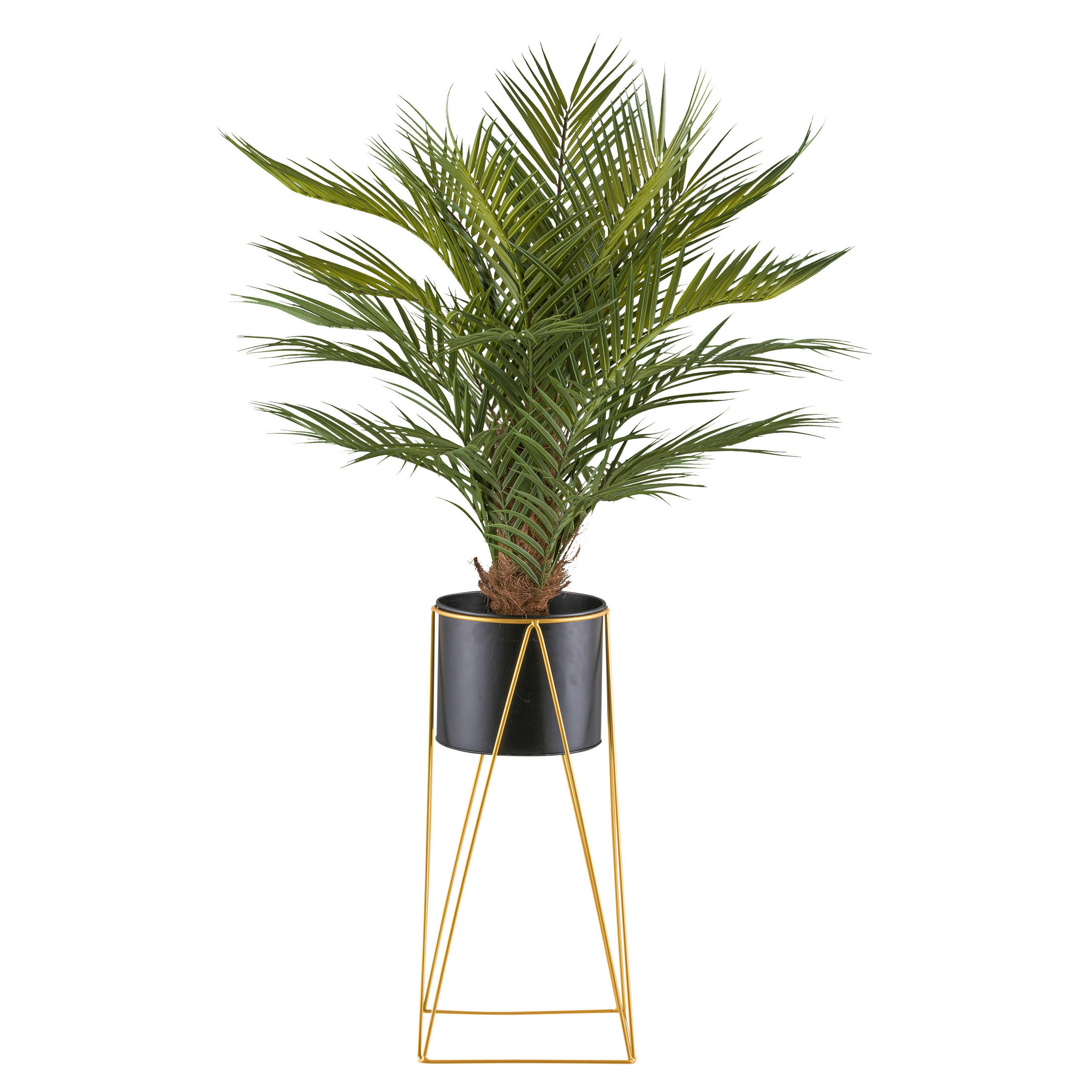 KUNSTPFLANZE Palme 110 cm - Goldfarben/Schwarz, Design, Kunststoff/Metall (110cm) - P & B