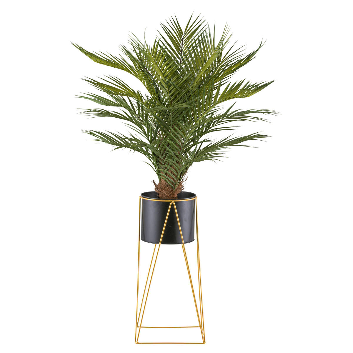 KUNSTPFLANZE Palme 110 cm  - Goldfarben/Schwarz, Design, Kunststoff/Metall (110cm) - P & B