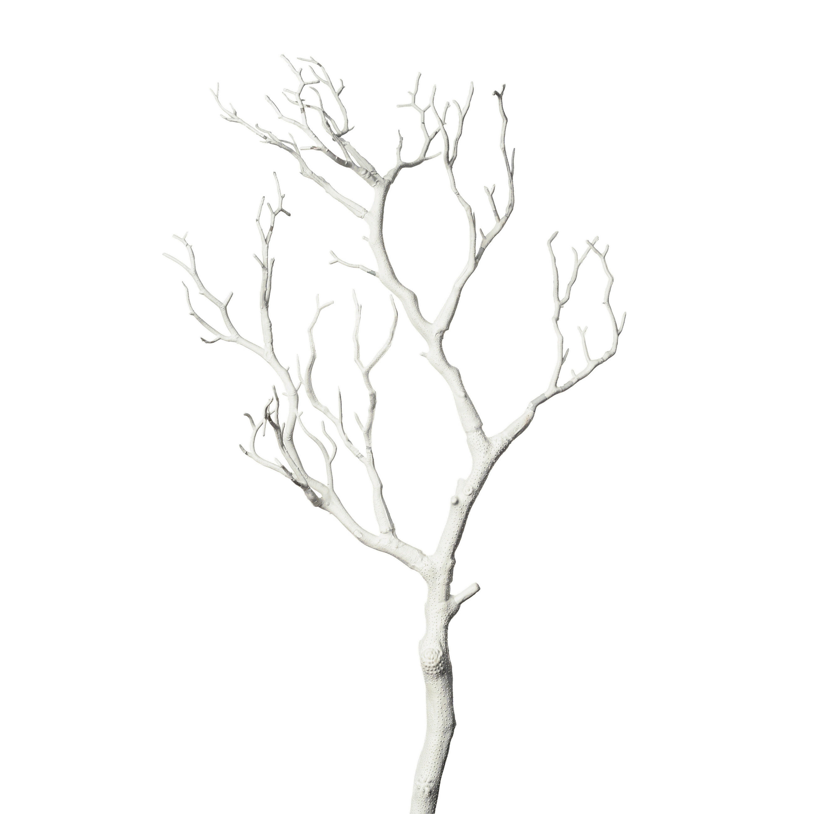 UMĚLÁ KVĚTINA 75 cm - bílá, Basics (75cm)