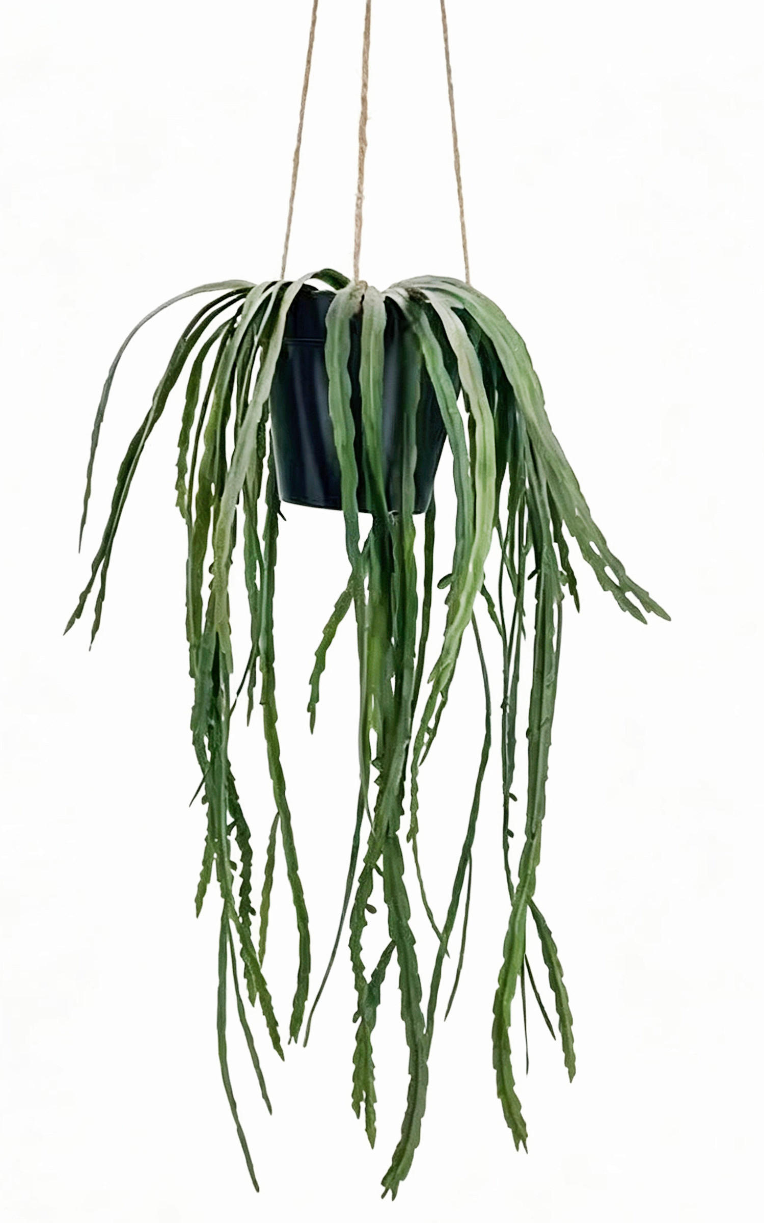 KUNSTPFLANZE Kaktus 52 cm  - Smaragdgrün/Schwarz, Basics, Kunststoff (52cm) - Ambia Home