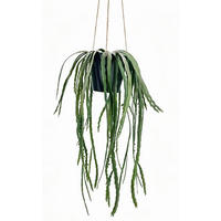 KUNSTPFLANZE Kaktus 52 cm  - Smaragdgrün/Schwarz, Basics, Kunststoff (52cm) - Ambia Home