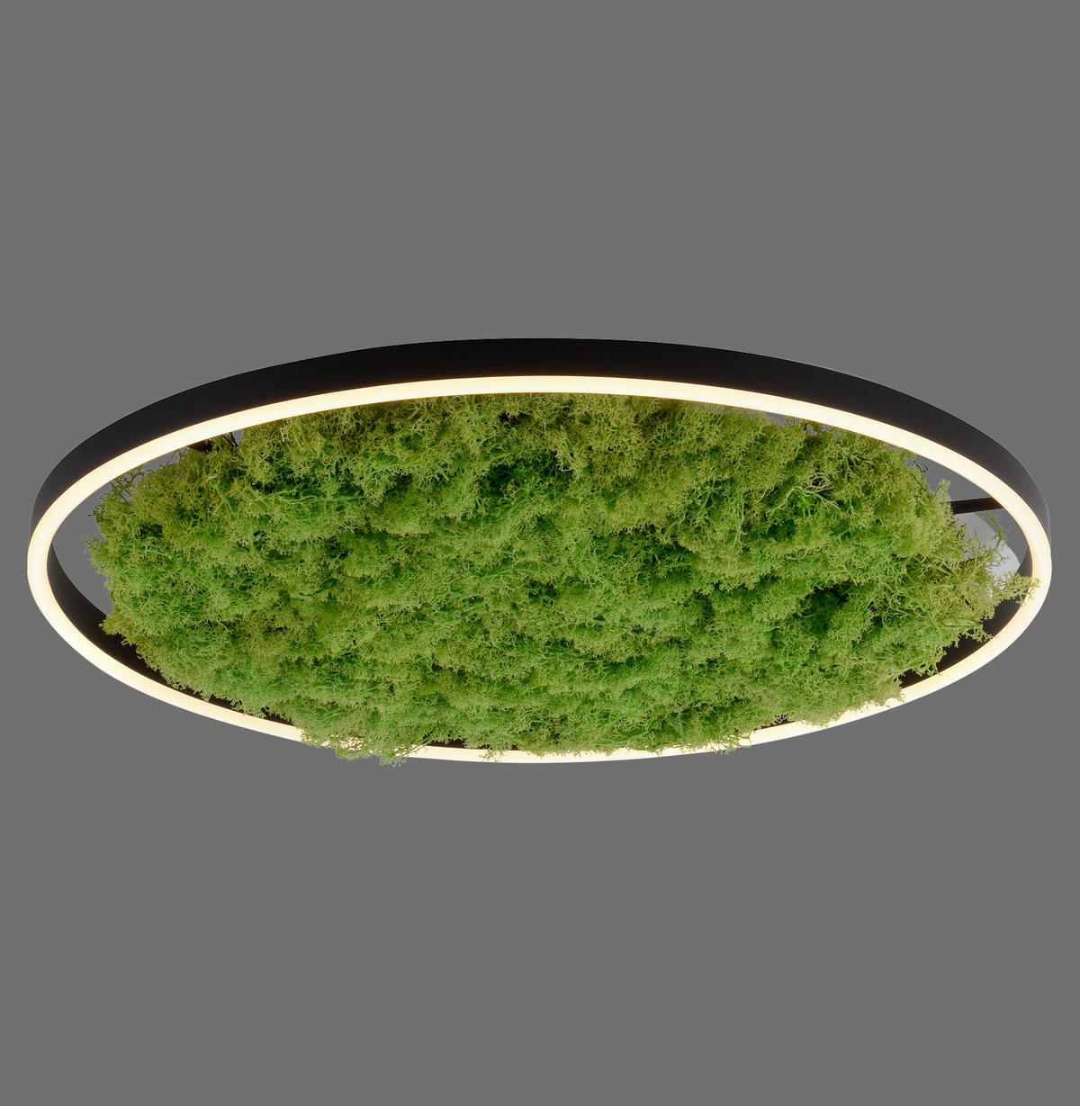 WANDLEUCHTE Ritus 58,5/58,5/5,3 cm   - Natur, Naturmaterialien/Kunststoff (58,5/58,5/5,3cm)