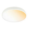 STROPNÉ LED SVIETIDLO, 35/8,5 cm  - biela, Basics, kov/plast (35/8,5cm)