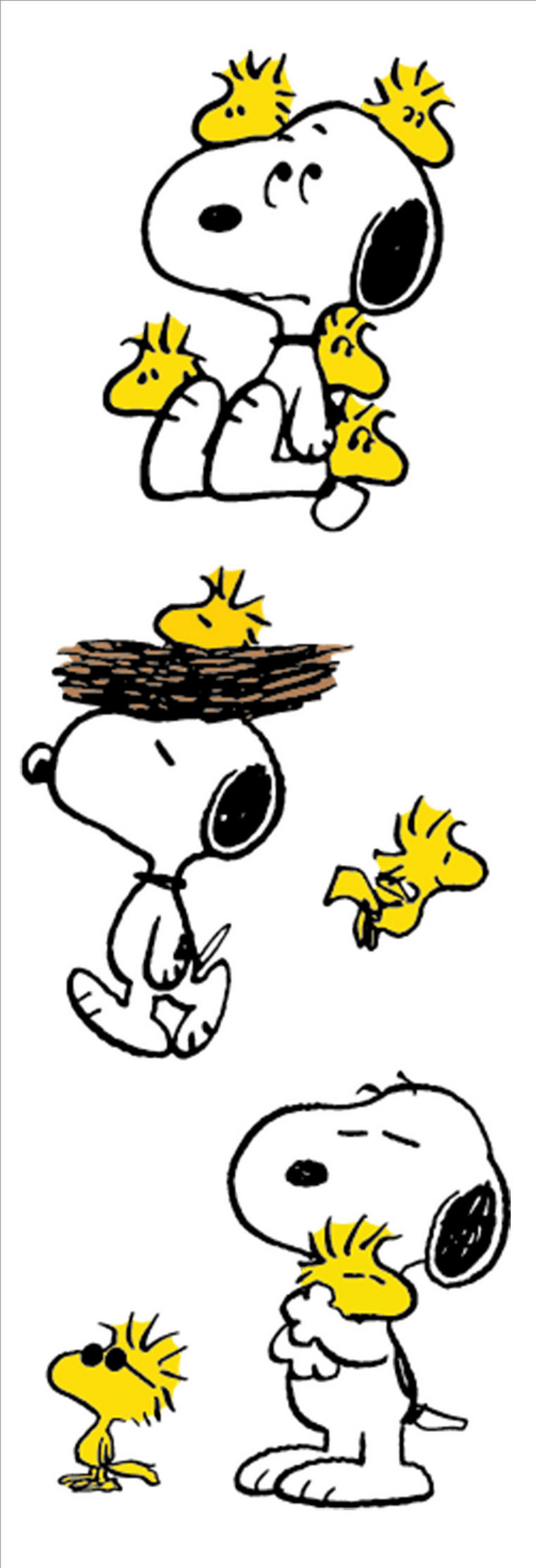 DEKOSTICKER  - Goldfarben, Basics, Papier (11.5/17/0.3cm)