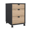 ROLLCONTAINER Grau, Eichefarben  - Eichefarben/Schwarz, MODERN, Holzwerkstoff/Kunststoff (40,8/60,8/48,2cm) - MID.YOU