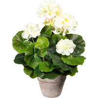 KUNSTPFLANZE Geranie 34 cm  - Creme/Grau, Design, Keramik/Kunststoff (34cm) - P & B