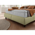 BOXSPRINGBETT 180/200 cm  in Weiß, Hellgrün  - Schwarz/Weiß, Design, Textil/Metall (180/200cm) - Johann Jakob