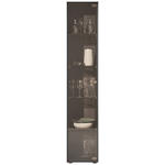 VITRINE Anthrazit  39/204/44 cm  - Anthrazit, Design, Glas/Holz (39/204/44cm) - Johann Jakob
