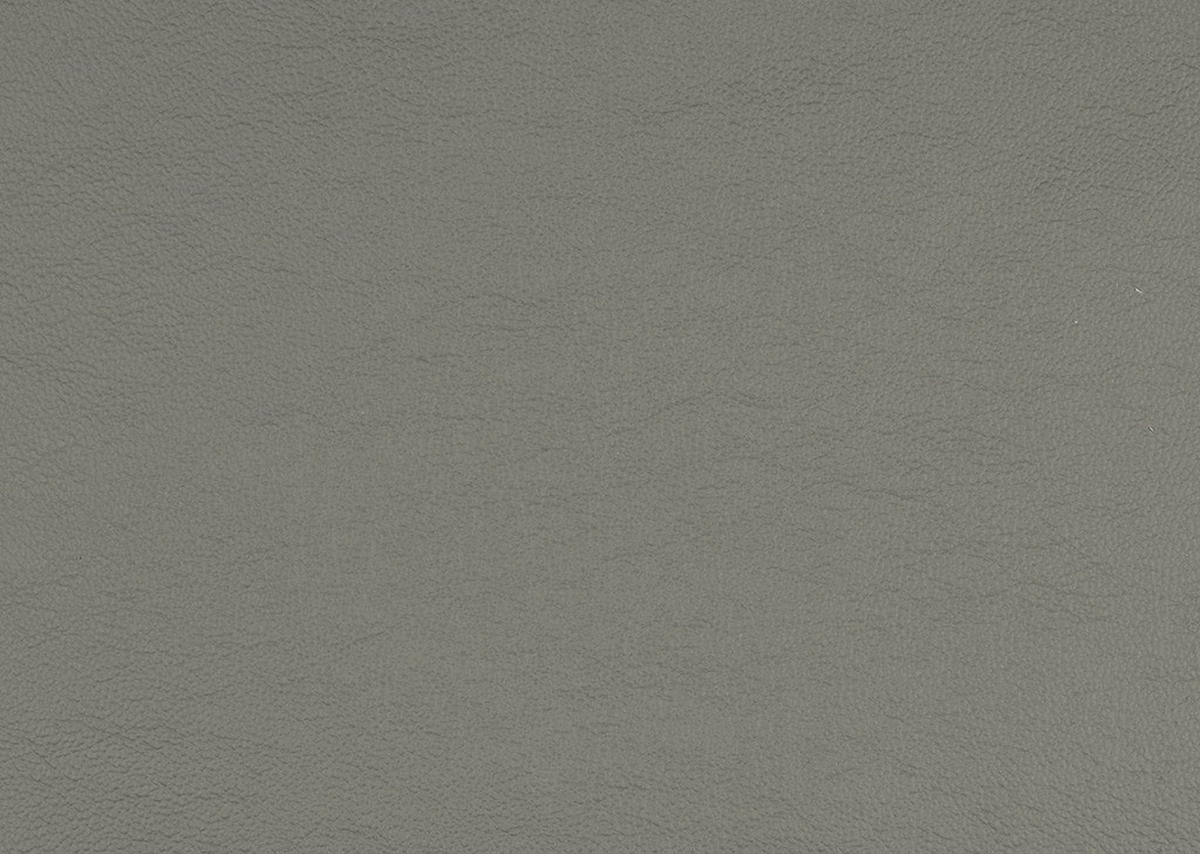 ECKSOFA  Echtleder Grau  - Schwarz/Grau, Design, Leder/Metall (169/307cm) - Beldomo Premium