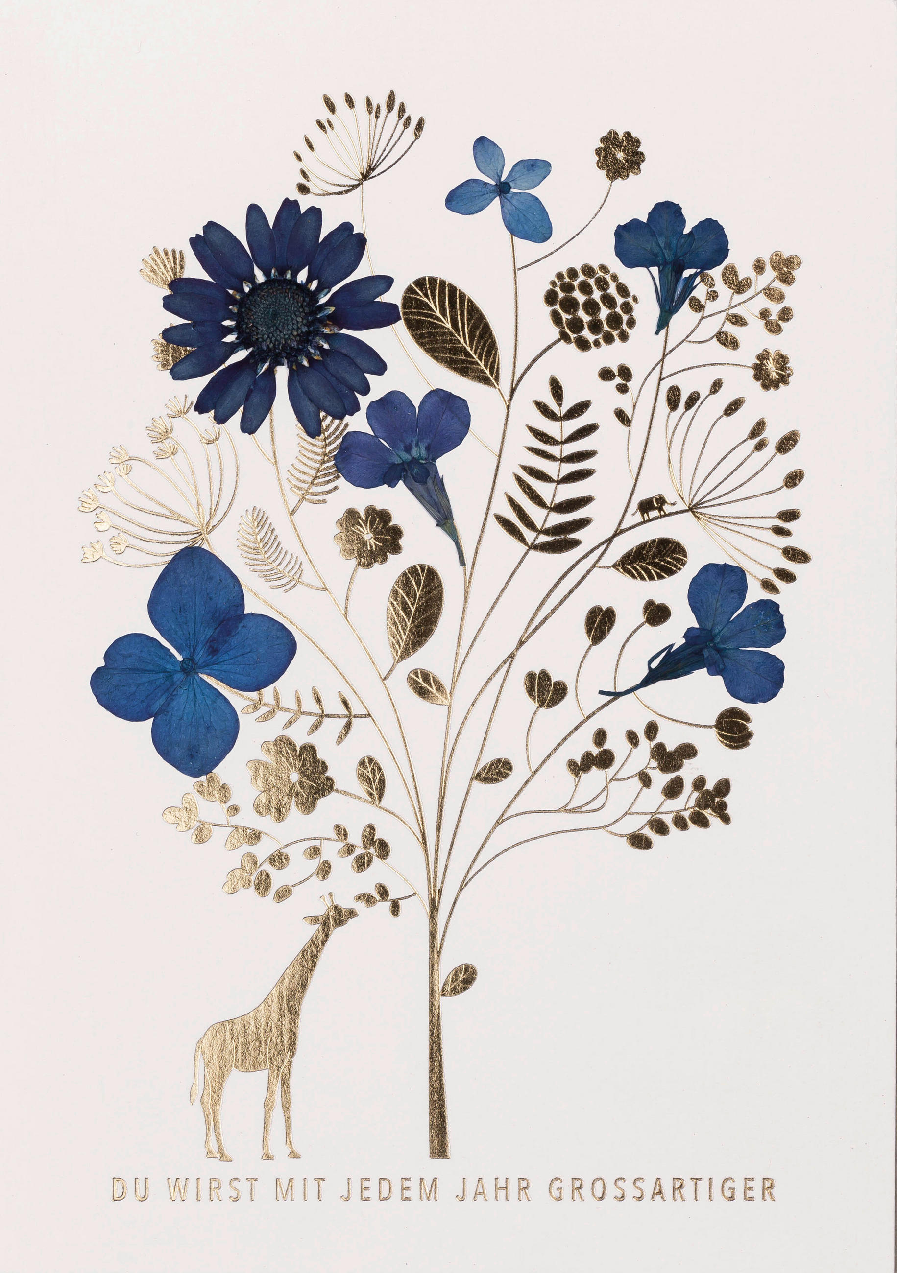 KARTE  - Blau, Basics, Papier (17.9/12.3/0.1cm) - Räder