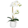 KUNSTPFLANZE Orchidee 55 cm  - Weiß/Grün, Basics, Keramik/Kunststoff (55cm) - P & B