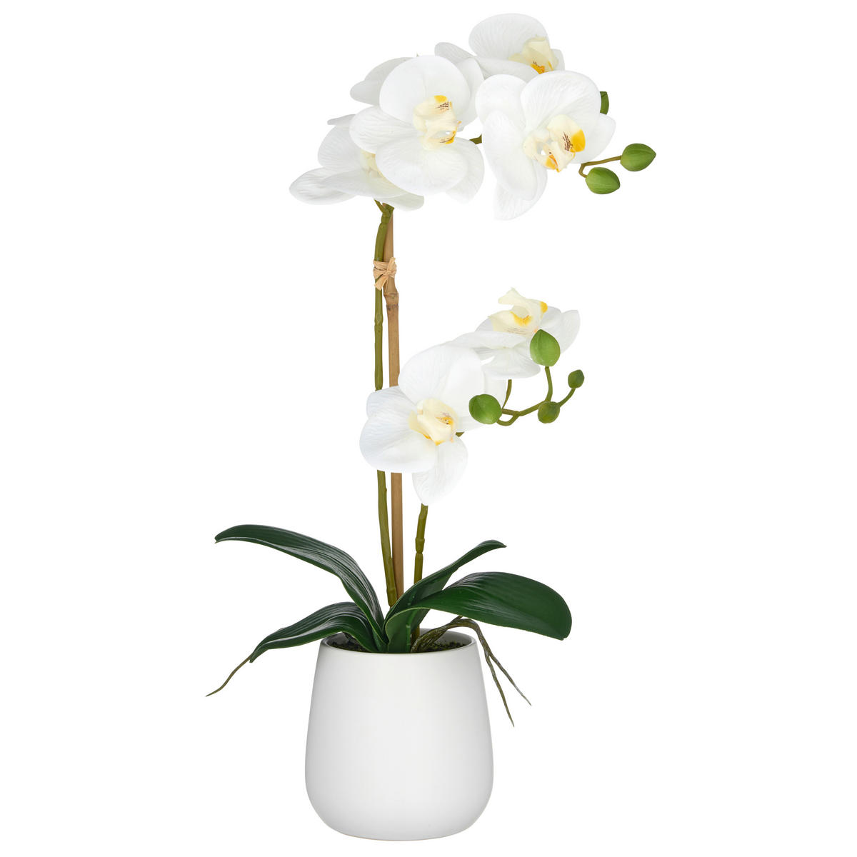 KUNSTPFLANZE Orchidee 55 cm  - Weiß/Grün, Basics, Keramik/Kunststoff (55cm) - P & B