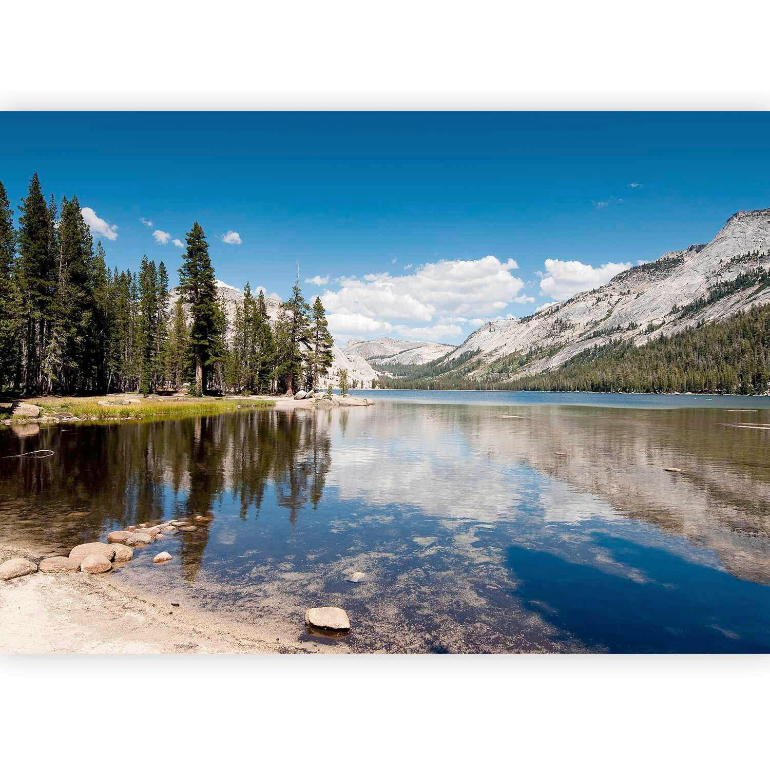 FOTOTAPETE  - Multicolor/Weiß, LIFESTYLE, Textil (250/175cm) - artgeist