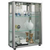 VITRINE in Silberfarben  - Silberfarben, Modern, Glas/Holzwerkstoff (60/80/25cm) - MID.YOU