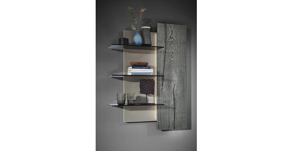 WOHNWAND in Grau, Eichefarben, Fango - Edelstahlfarben/Fango, Design, Glas/Holz (339,5/195,4/41,2cm) - Dieter Knoll