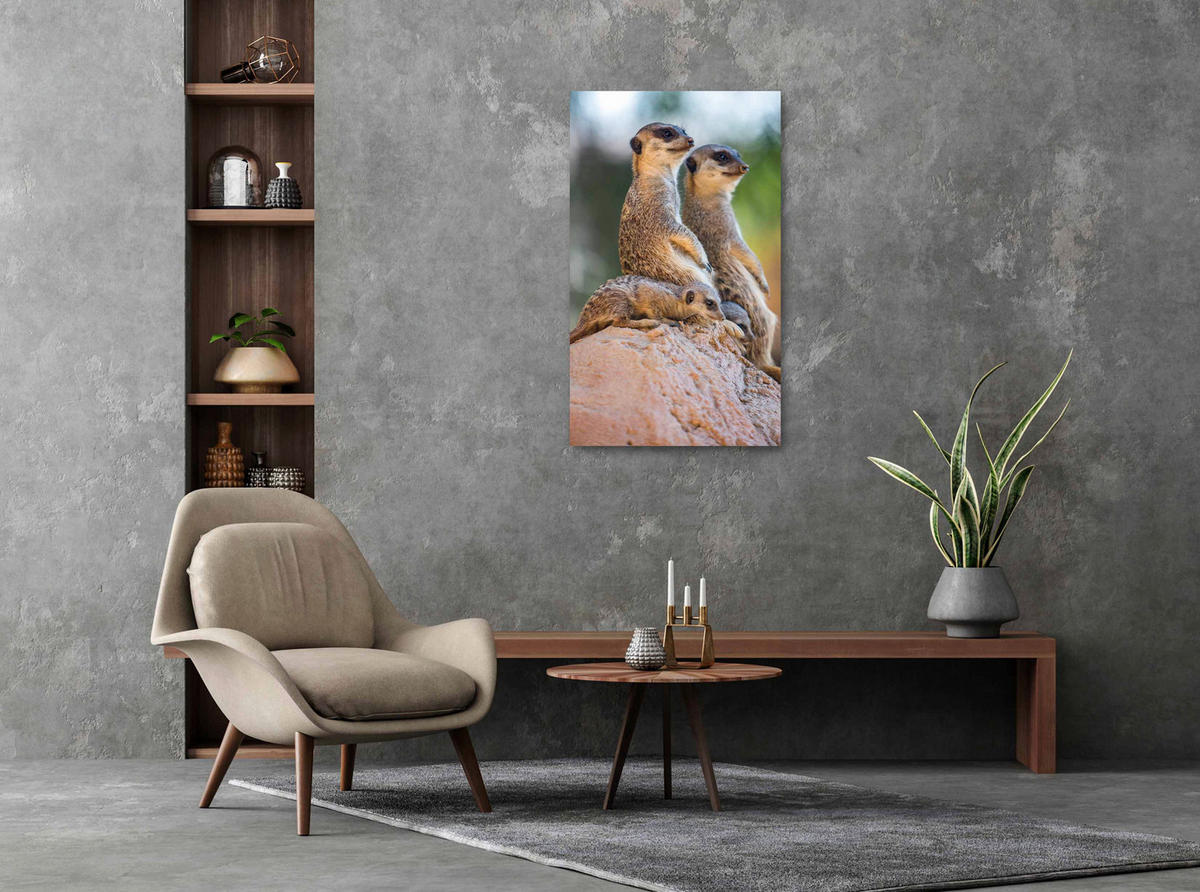 ALUMINIUMBILD Landschaft & Natur, Tiere 70/118 cm  - Sandfarben/Beige, Design, Kunststoff/Metall (70/118cm)