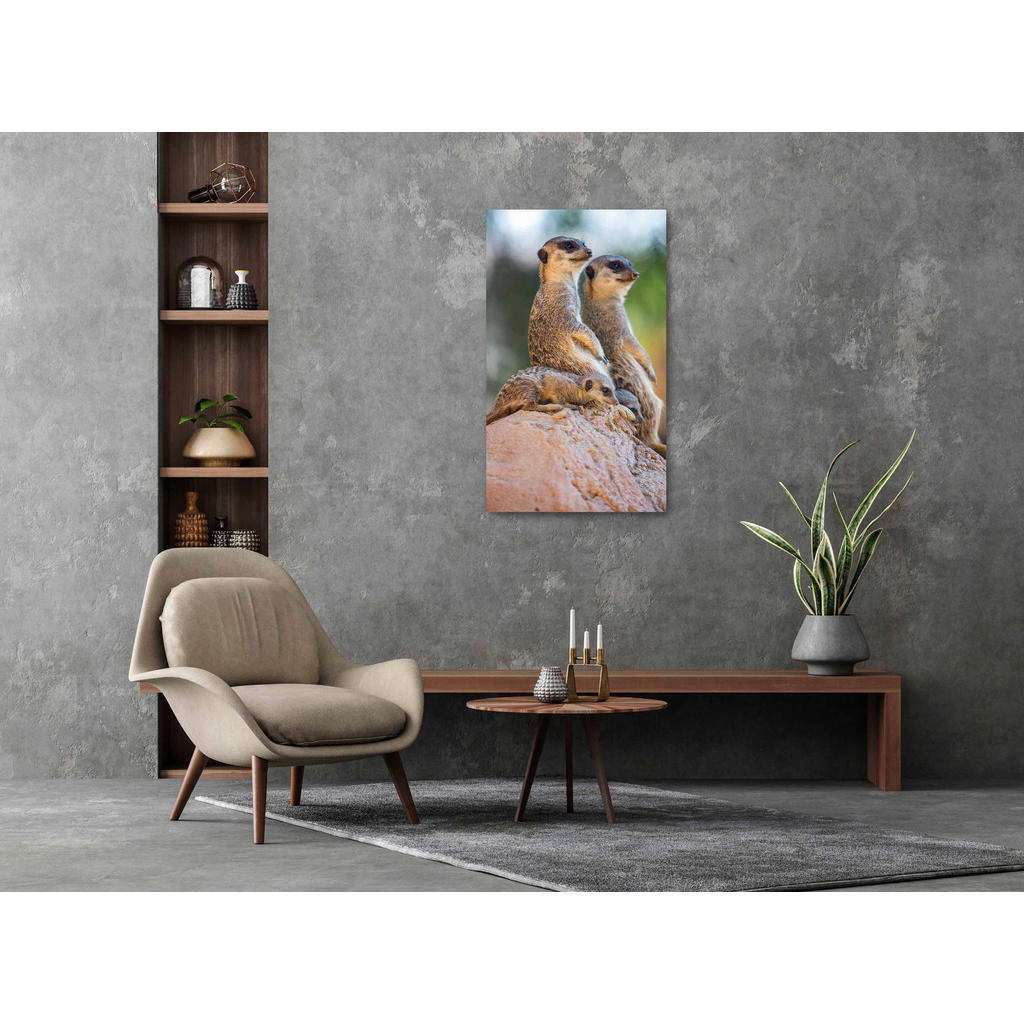 Thumbnail - Xxxl Aluminiumbild, Braun, Grün, Sand, Beige, Metall, Kunststoff, 70x118 cm, Bilder und Zubehör, Wandbilder, Metallbilde...
