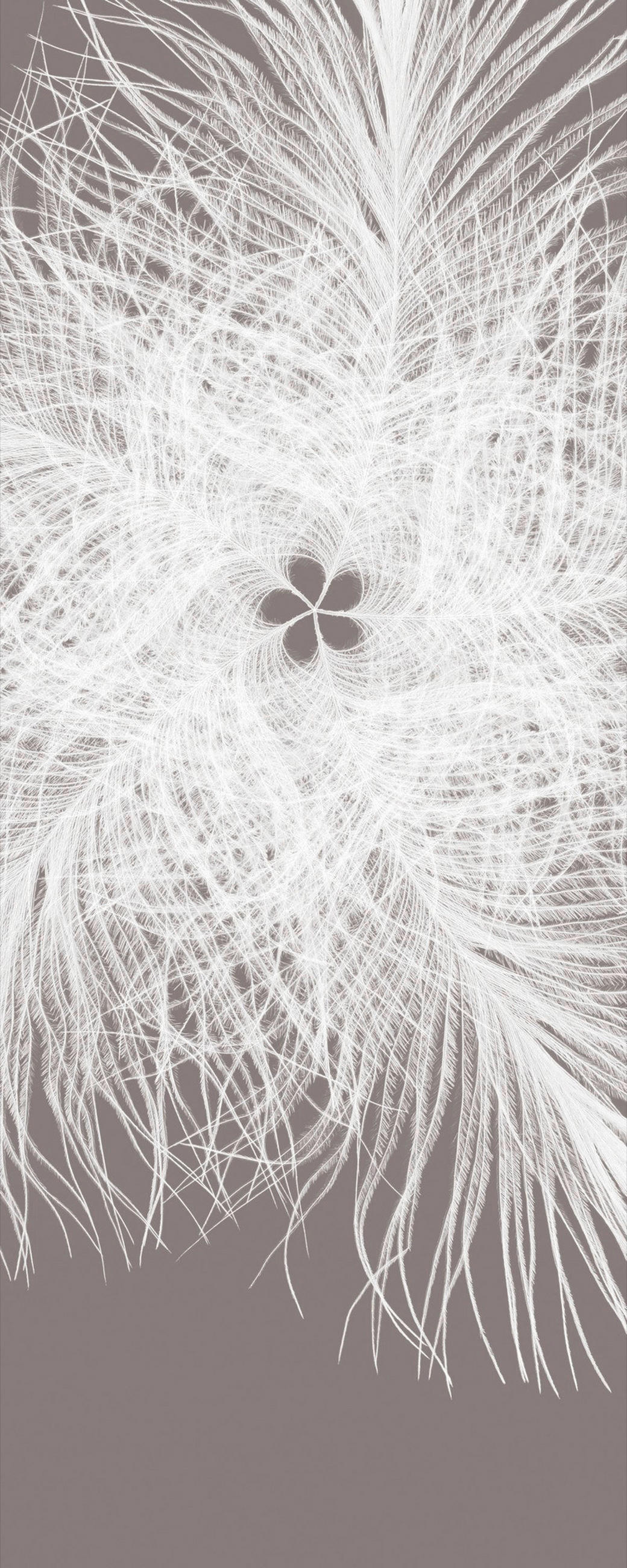VLIESTAPETE  - Weiß/Grau, Basics (100/250cm) - Xora