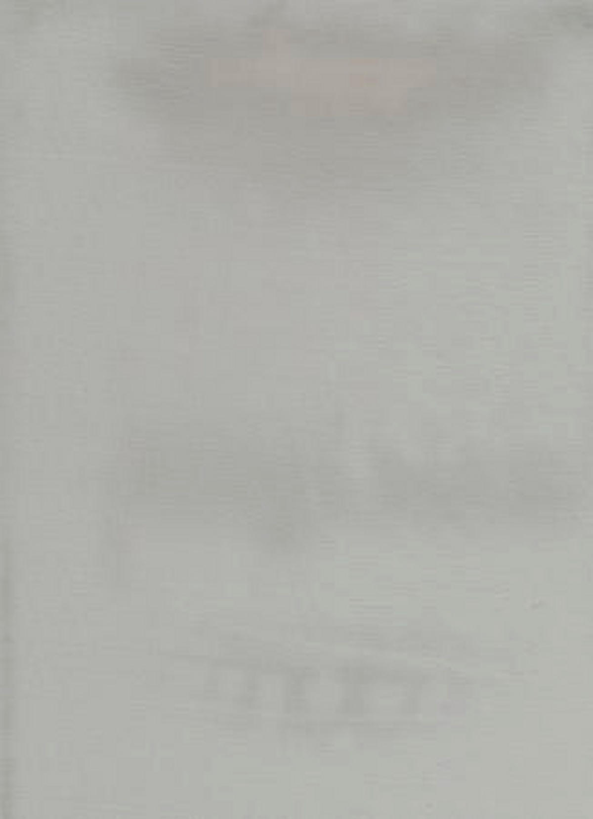 MATERIAL PERDELE ȘI DRAPERII  - argintiu/gri, Basics, textil (300cm)